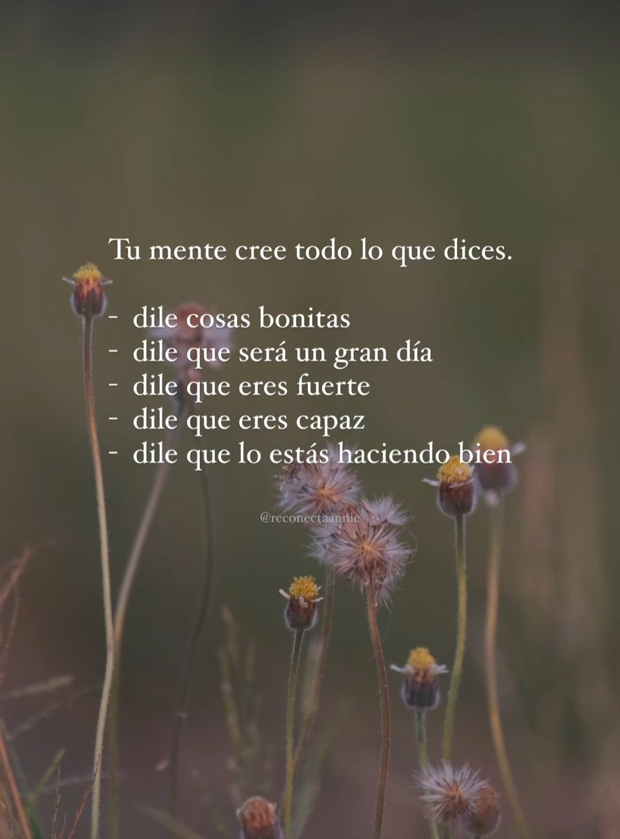 ¡¡Buenos 
          días 
               mundo 
                         virtual!!!
#FelizViernesATodos