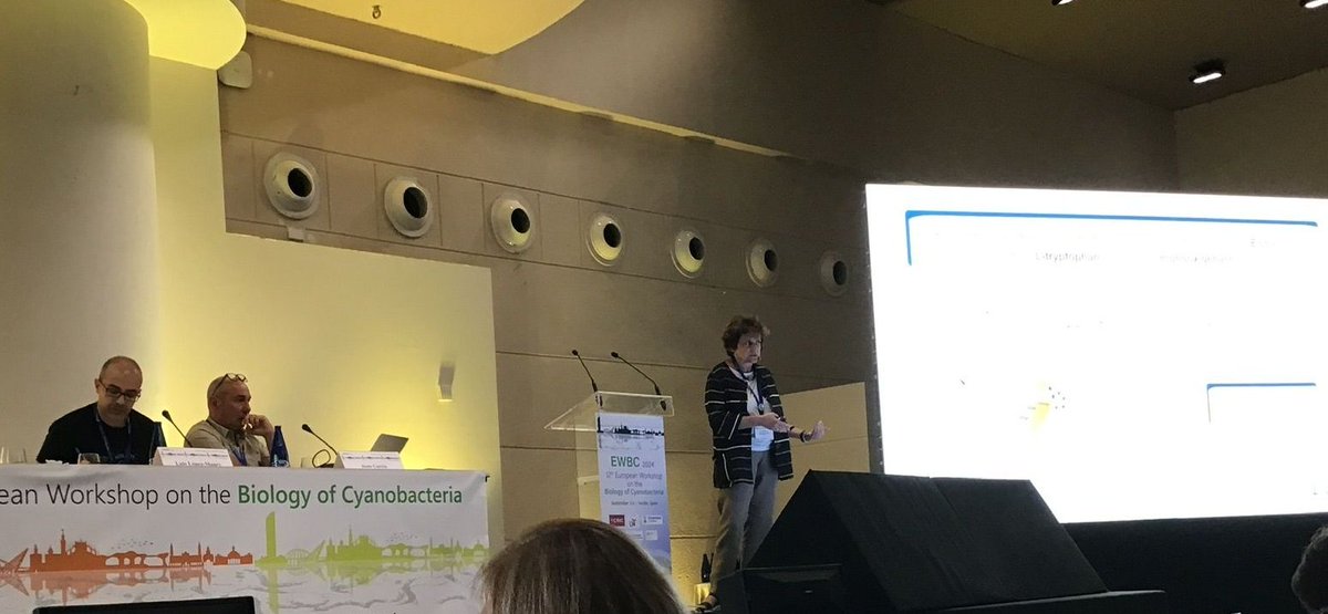 ewbc2024's tweet image. Last session of the meeting Biotechnology and Synthetic Biology session #EWBC2024