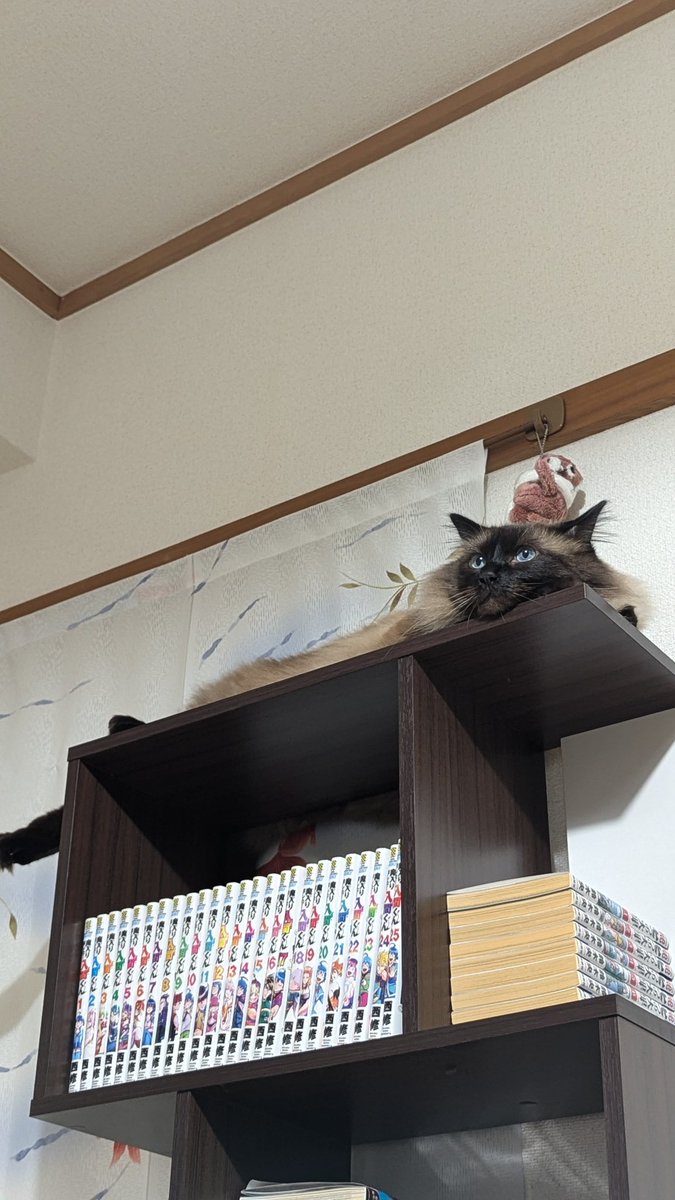 あ〜。　暇だぁ～。