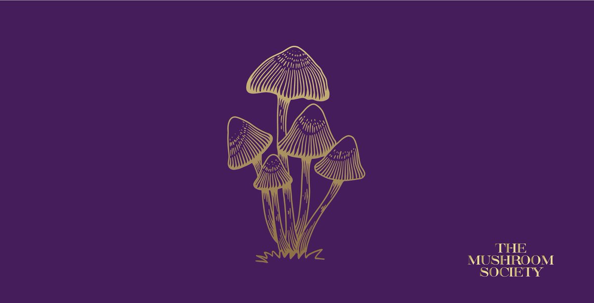 Amazing things happening!!!