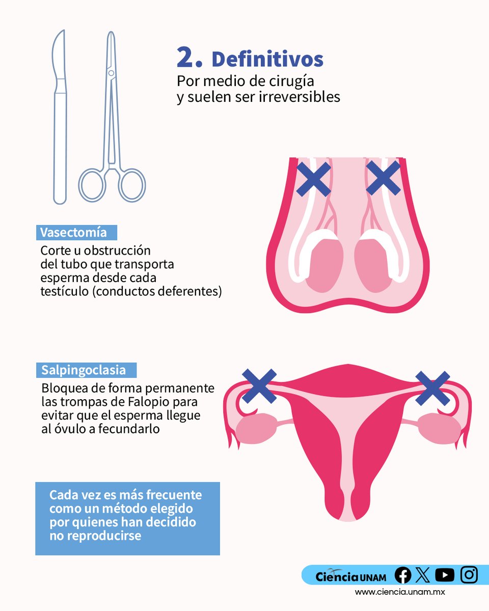 Ciencia_UNAM's tweet image. #Salud | Contar con información acerca de los #métodos #anticonceptivos permite tomar decisiones oportunas y adecuadas sobre una #sexualidad libre y responsable, así como de reproducción.
¡Protégete siempre!
lc.cx/ZYDILf