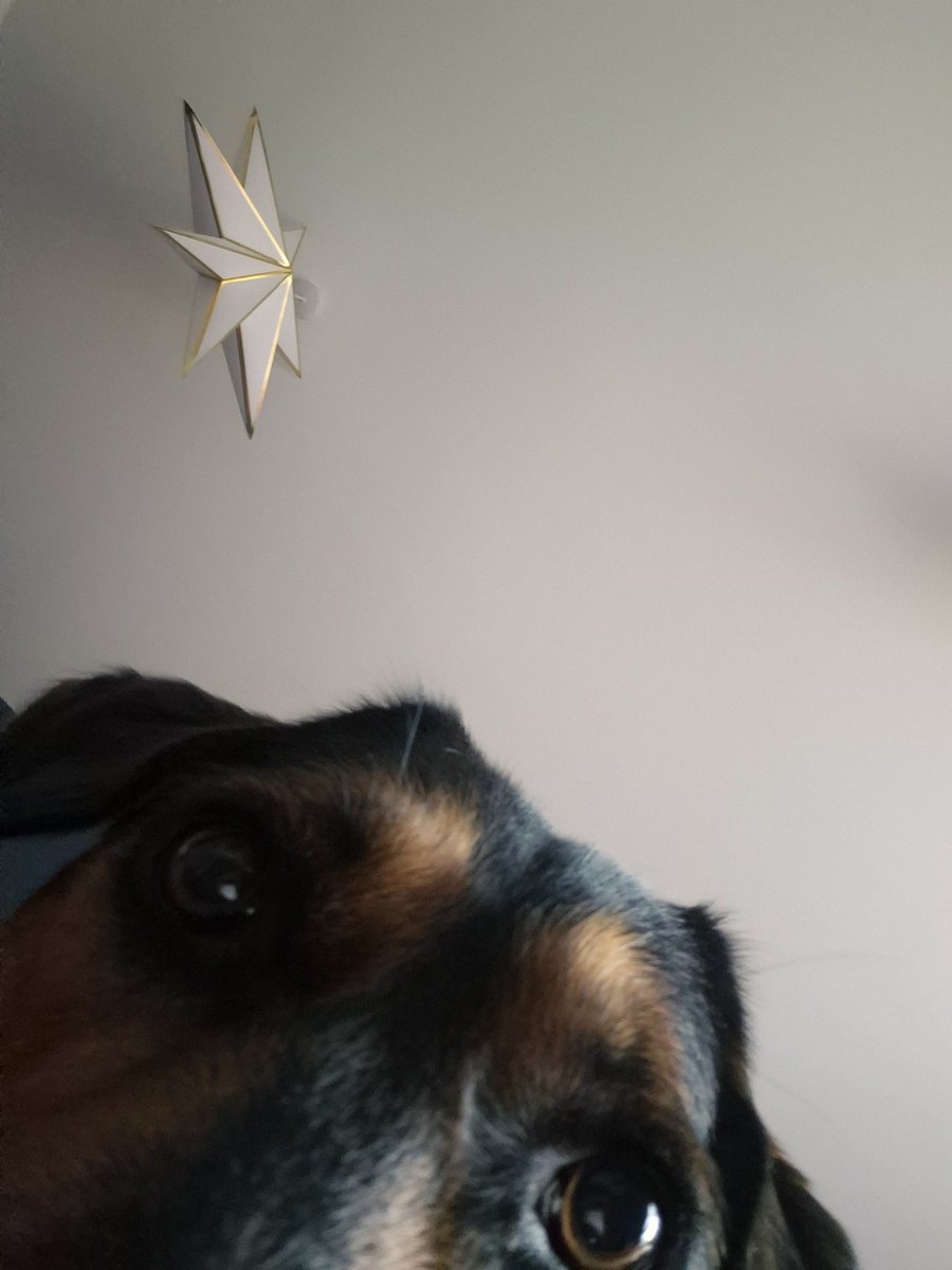 Kate ✨️ tweet media