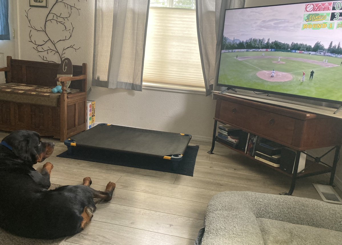 Miners' fans come in all shapes and sizes! 🐾

#ablminers #alaskabaseballleague #baseballlife