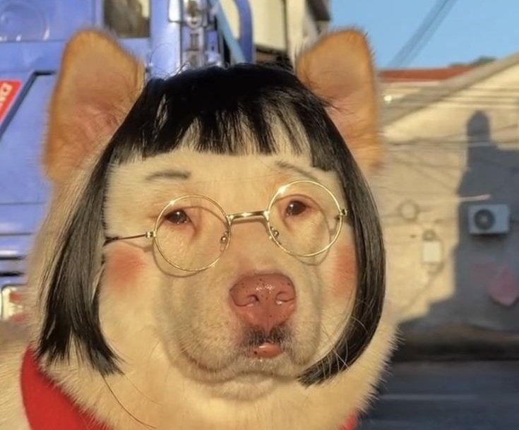 Not locals joining our long ongoing outrage abt ddaeng not being on Spotify 😭 Ah yes, welcome 🫠