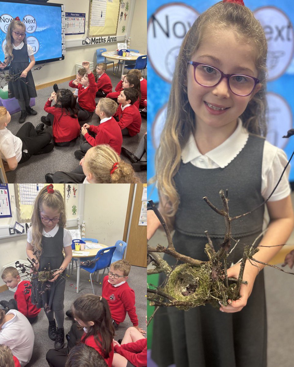 Dosbarth Bala (@idsbala) on Twitter photo We have been ethical, informed citizens this week exploring a birds nest. The children had lots of interesting questions to ask. Diolch yn fawr Freya for bringing it in and speaking so confidently in class <a href="/IDS_Mrs_Parfitt/">Mrs D Parfitt</a> <a href="/IDS3to18/">Idris Davies School 3_18</a> We have been ethical, informed citizens this week exploring a birds nest. The children had lots of interesting questions to ask. Diolch yn fawr Freya for bringing it in and speaking so confidently in class <a href="/IDS_Mrs_Parfitt/">Mrs D Parfitt</a> <a href="/IDS3to18/">Idris Davies School 3_18</a>