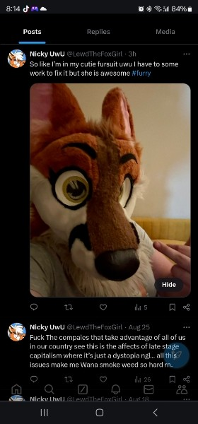_ChilliPepper_0's tweet photo. seems my ex has deleted the post with her wearing my fursuit head that she stole, then someone called her out on it and  then she deleted it. kinda funny to bad i already have a screen shot https://t.co/8MzFUr876t