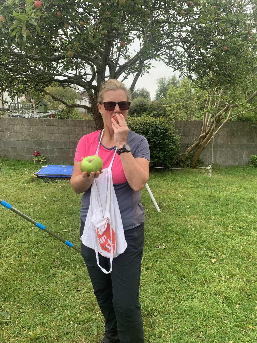 🍎Fabulous fun fruit pick in Glenageary today. Our valiant volunteers, Anne, Sue and Michelle made quick work of the task with great humour and fun. Huge thanks to them and to donor Françoise. Eating and cooking apples go to a community group in D12🍎💚🍎