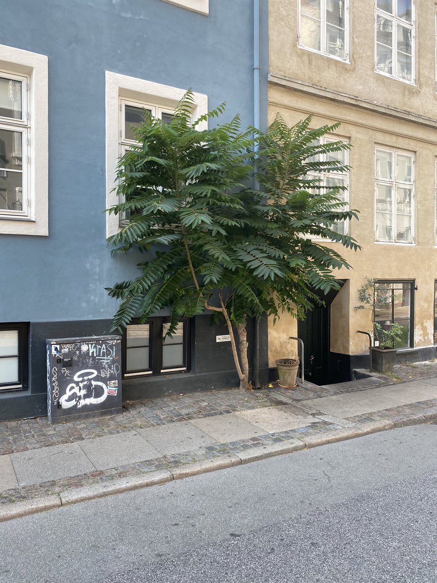 Ricky Gervais tweet media