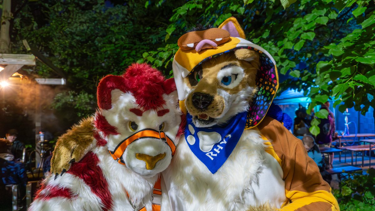 Rhys Shepherd tweet media