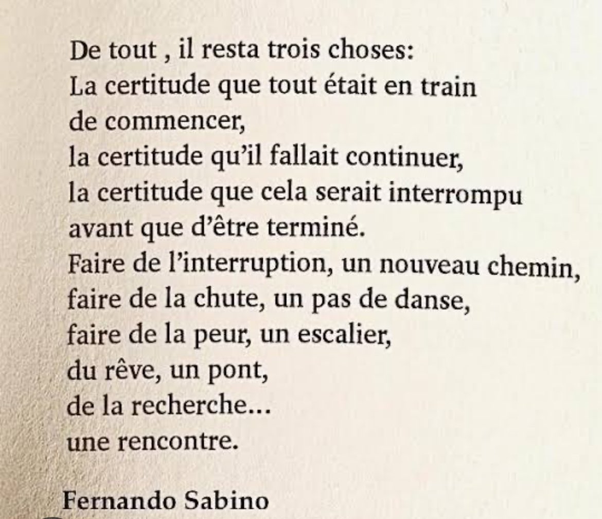 Norabouss's tweet photo. «  La certitude que tout était en train de commencer » 🪄🌙 
#quote #citation #poème #Sabino https://t.co/2Gmvo31khL