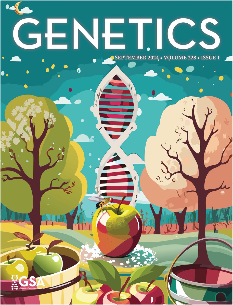 UVM Biology (@biologyuvm) on Twitter photo On the cover of GENETICS. A recent paper from the Nunez lab (@jcbnunez) at <a href="/uvmvermont/">University of Vermont</a> 's biology dept). Was featured as the cover of the journal (Volume 228, Issue 1). Learn about how seasonal inversions facilitate rapid evolution (doi.org/10.1093/genetiโฆ). On the cover of GENETICS. A recent paper from the Nunez lab (@jcbnunez) at <a href="/uvmvermont/">University of Vermont</a> 's biology dept). Was featured as the cover of the journal (Volume 228, Issue 1). Learn about how seasonal inversions facilitate rapid evolution (doi.org/10.1093/genetiโฆ).