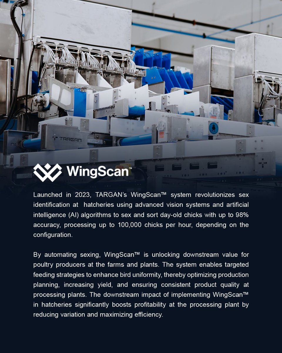 targan_inc's tweet photo. Boosting profits with uniform broiler flocks! 🐔

Kirk Adams, VP at TARGAN, recently shared in @MeatPoultry  how WingScan, our automated feather sexing system, improves animal welfare, cuts waste, and maximizes yields. https://t.co/mTrilC0OYt