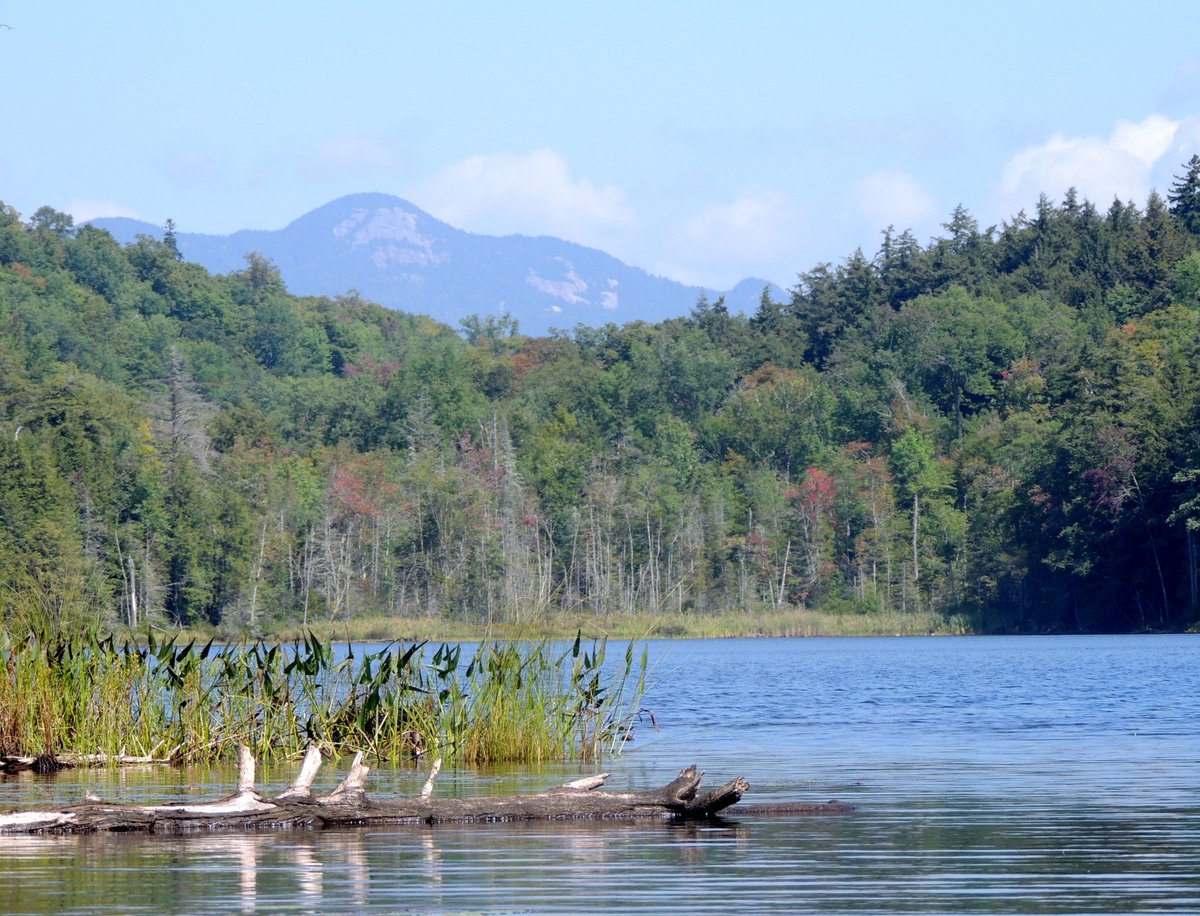 Mason Lake, Adirondacks, NY. #ADK #adkphotos #photography #photographer #x