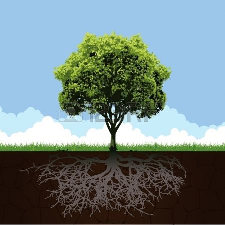 CoachLWilson's tweet image. THOUGHT FOR THE DAY:
A TREE GROWS DOWN &amp;amp; UP AT THE SAME TIME.
BEFORE IT GROWS TOWARD SUNLIGHT, ITS ROOTS BEGIN TO GROW DOWN TO SEEK NOURISHMENT THROUGH GRAVITY.
SO IS LIFE.
BE WILLING TO GROW DOWN AS ADVERSITY FEEDS YOU &amp;amp; UP TO MEET THE LIGHT THAT WILL SUSTAIN YOU.
#BETHETREE