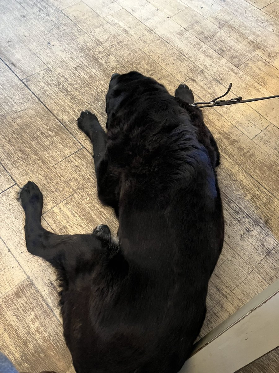 Ken Perry tweet media