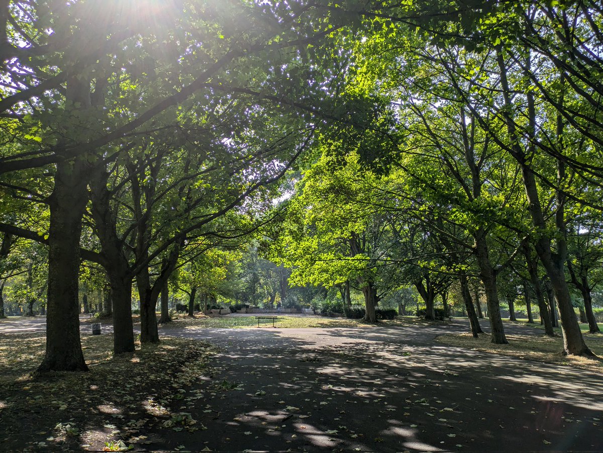 ResDevista's tweet image. September has to be the best month. Leeds is luminous and lovely this lunchtime. 🤩🌳🌳🌳