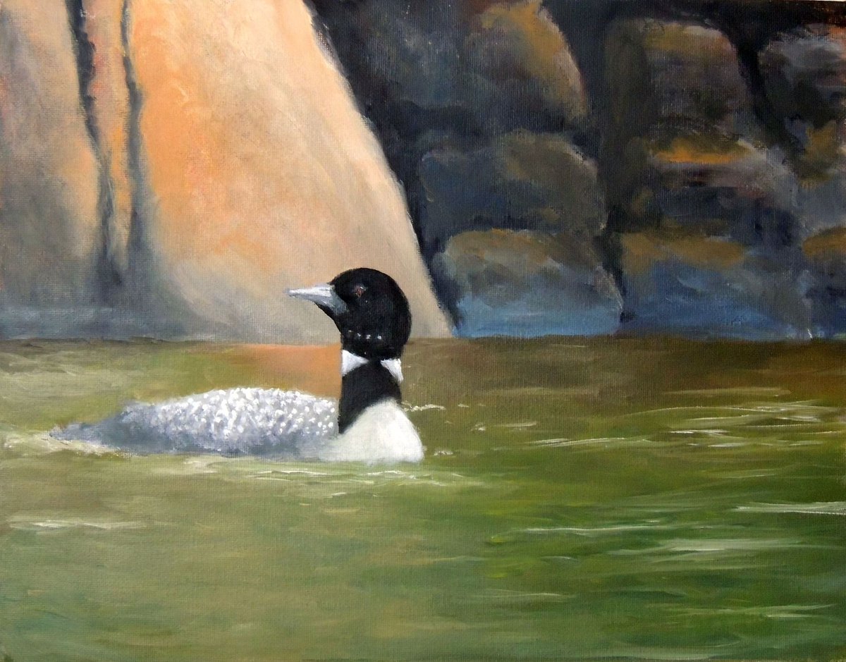 Adirondack Loon (painting) #ADK #adkart #loons #x
