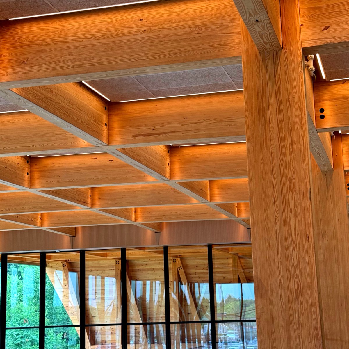 westernwood_'s tweet photo. The completion date is rapidly approaching for the @MicronTech Campus in Manassas, VA. Countless #glulam columns and beams were utilized in this #MassTimber project, as well as 70+ #CLTpanels.
GC: Whiting-Turner Construction
Architect: @JacobsConnects
#masstimberconstruction https://t.co/PtnjKk9yuO