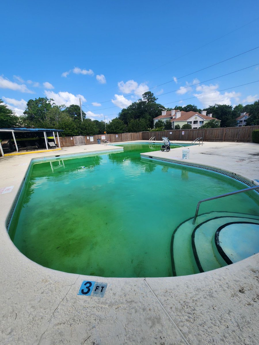 MoonRiverPools's tweet image. Our before and after photos show just what we can do for your pool. Ready for a pool or hot tub makeover from Moon River Pool Care? Call (912) 244-3692 to make it happen.  

#PoolTransformation #BeforeAndAfter #PoolMakeover #Savannah #SavannahGeorgia