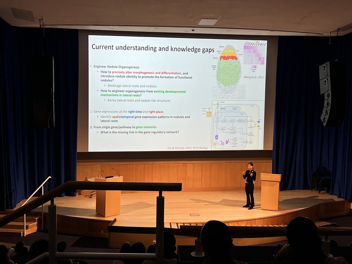 Shih-Hsun Walter Hung (@waltershhung) on Twitter photo D2 of #NoCaSS2024 <a href="/JohnInnesCentre/">John Innes Centre</a> Time-resolved spatial transcriptomes and gene regulatory atlas of Medicago nodule organogenesis 🔥 by Min-Yao Jhu D2 of #NoCaSS2024 <a href="/JohnInnesCentre/">John Innes Centre</a> Time-resolved spatial transcriptomes and gene regulatory atlas of Medicago nodule organogenesis 🔥 by Min-Yao Jhu