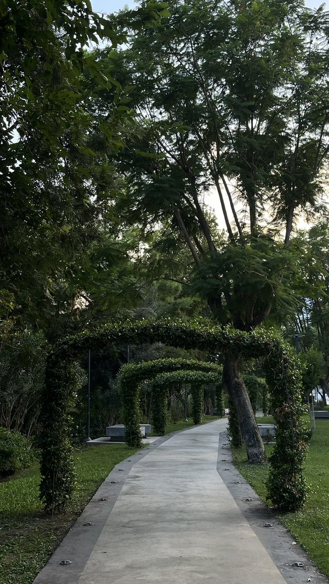 Darja ᥫ᭡ tweet media