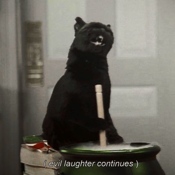 Lu Lopra tweet media