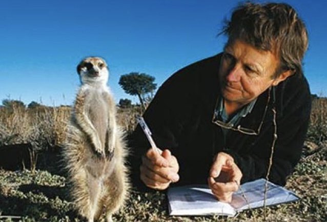 Dept of Zoology (@camzoology) on Twitter photo Congratulations to Professor Tim Clutton-Brock FRS who has been awarded the BES Honorary Membership by <a href="/BritishEcolSoc/">British Ecological Society</a> tinyurl.com/ktkrkpyw Congratulations to Professor Tim Clutton-Brock FRS who has been awarded the BES Honorary Membership by <a href="/BritishEcolSoc/">British Ecological Society</a> tinyurl.com/ktkrkpyw