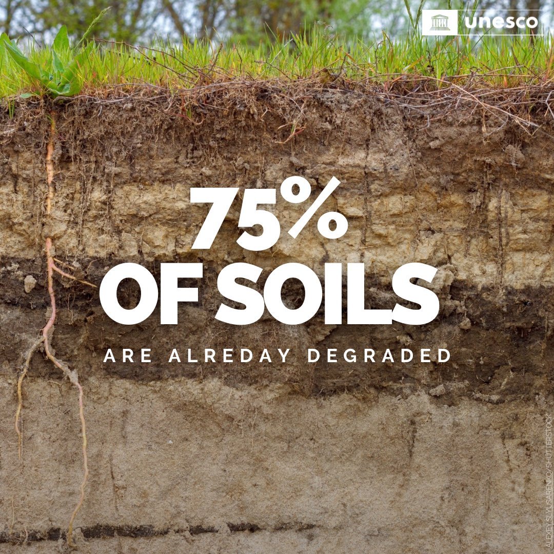 🚨<a href="/UNESCO/">UNESCO 🏛️ #Education #Sciences #Culture 🇺🇳</a> raises global alarm on the rapid degradation of soils🚨

Their degradation is seriously affecting human life &amp; biodiversity. They are essential for preserving ecosystems, regulating climate &amp; purifying water.

Let's protect our soils!

➡️unes.co/qme7k6