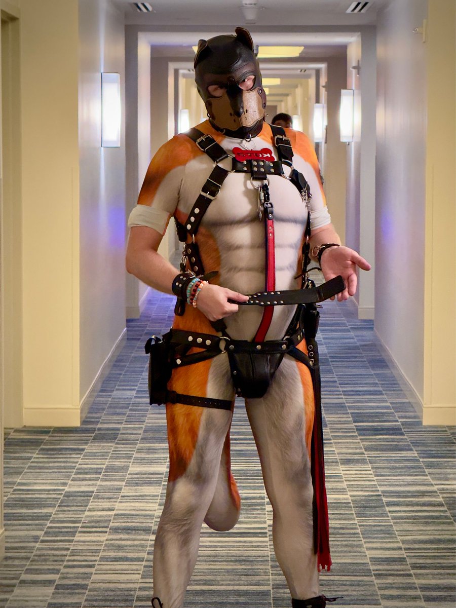 Have you been naughty? Im all too eager to use my paddle, flogger, or paws 😏👋
#Megaplex #petsuit #nsfw