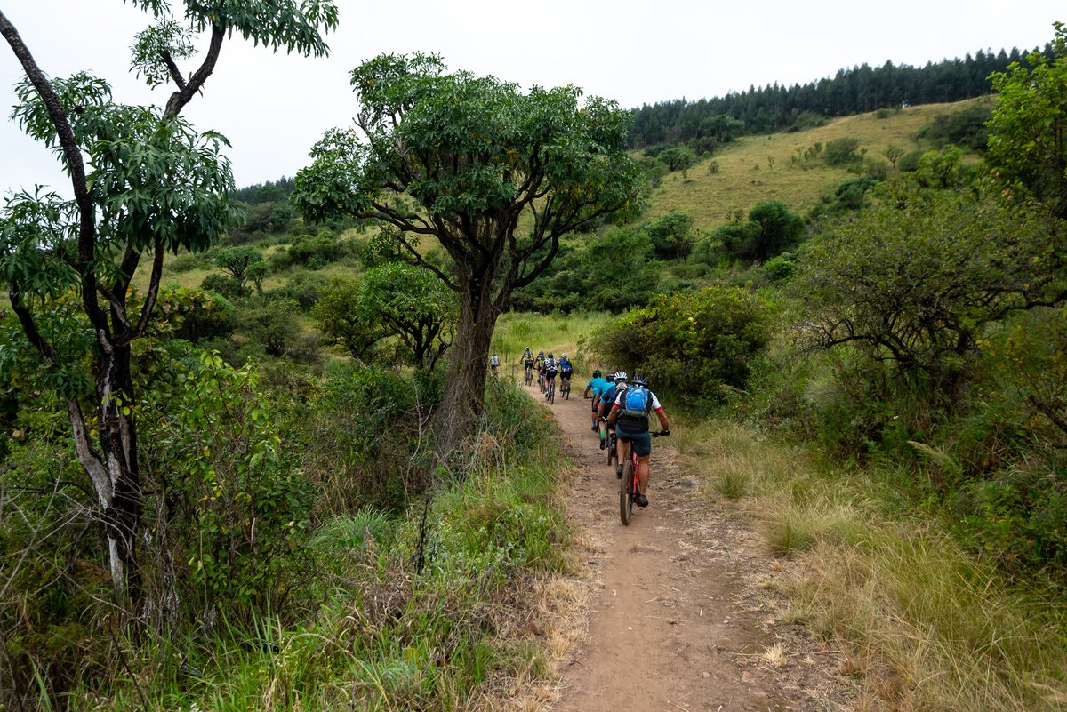 KZN is wild and we get to ride our bikes right through the heart of it! ❤️ 

This is Africa and this is real mountain biking 😎 

#morethanaride #rideofyourlife #mountainbiking #mtb #southafrica #cycling