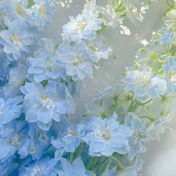 lavieestbelIe's tweet photo. https://t.co/XCy9d4hID7
