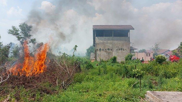 Liang Anggang dan Landasan Ulin Terdampak Karhutla, Total 15 Hektare Lebih Lahan Terdampak dlvr.it/TCvsC0