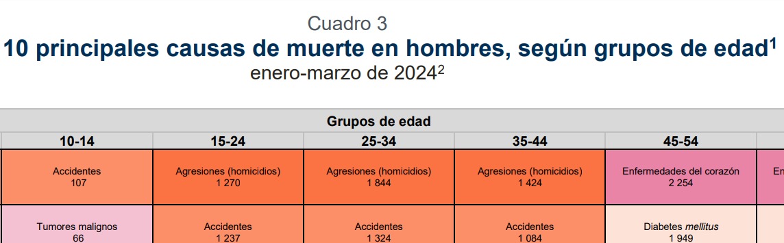 El #INEGI reporta que la principal causa de muerte en #Mexico en hombres de entre 15 y 45 años es el homicidio. Datos actualizados al 5 de septiembre de 2024. LINK
inegi.org.mx/contenidos/sal…