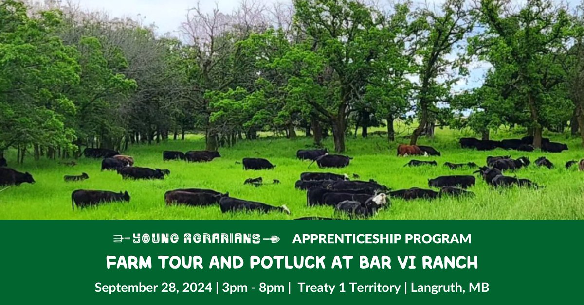 Join <a href="/youngagrarians/">Young Agrarians</a> on September 28th for a farm tour and potluck at Bar VI Ranch near Langruth, Manitoba.  

Reserve your spot here: youngagrarians.org/sept-28-2024-l…