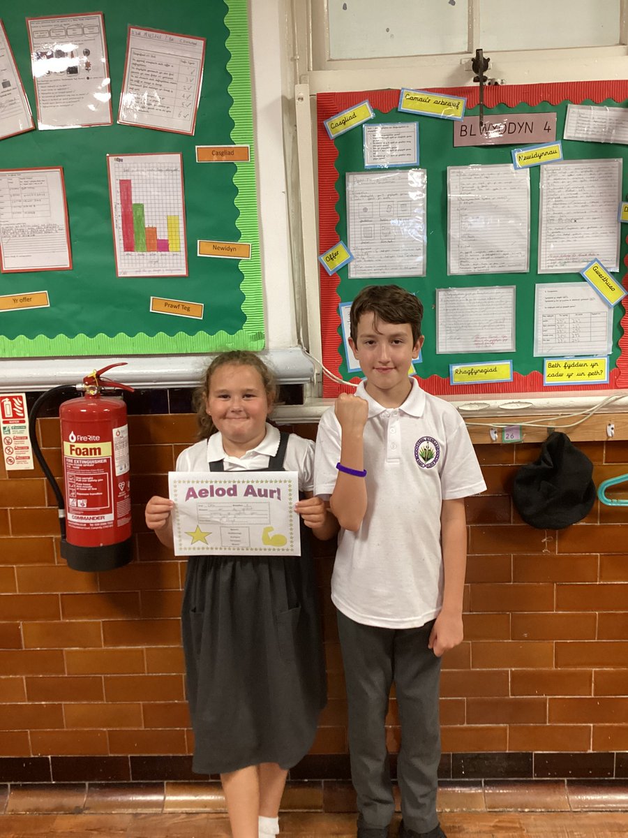 Llongyfarchiadau Aelod Aur a Chapten Cymreictod!