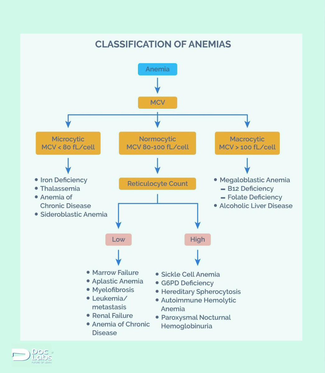 DoclabsPh's tweet image. Classification of Anemias🩸🩸