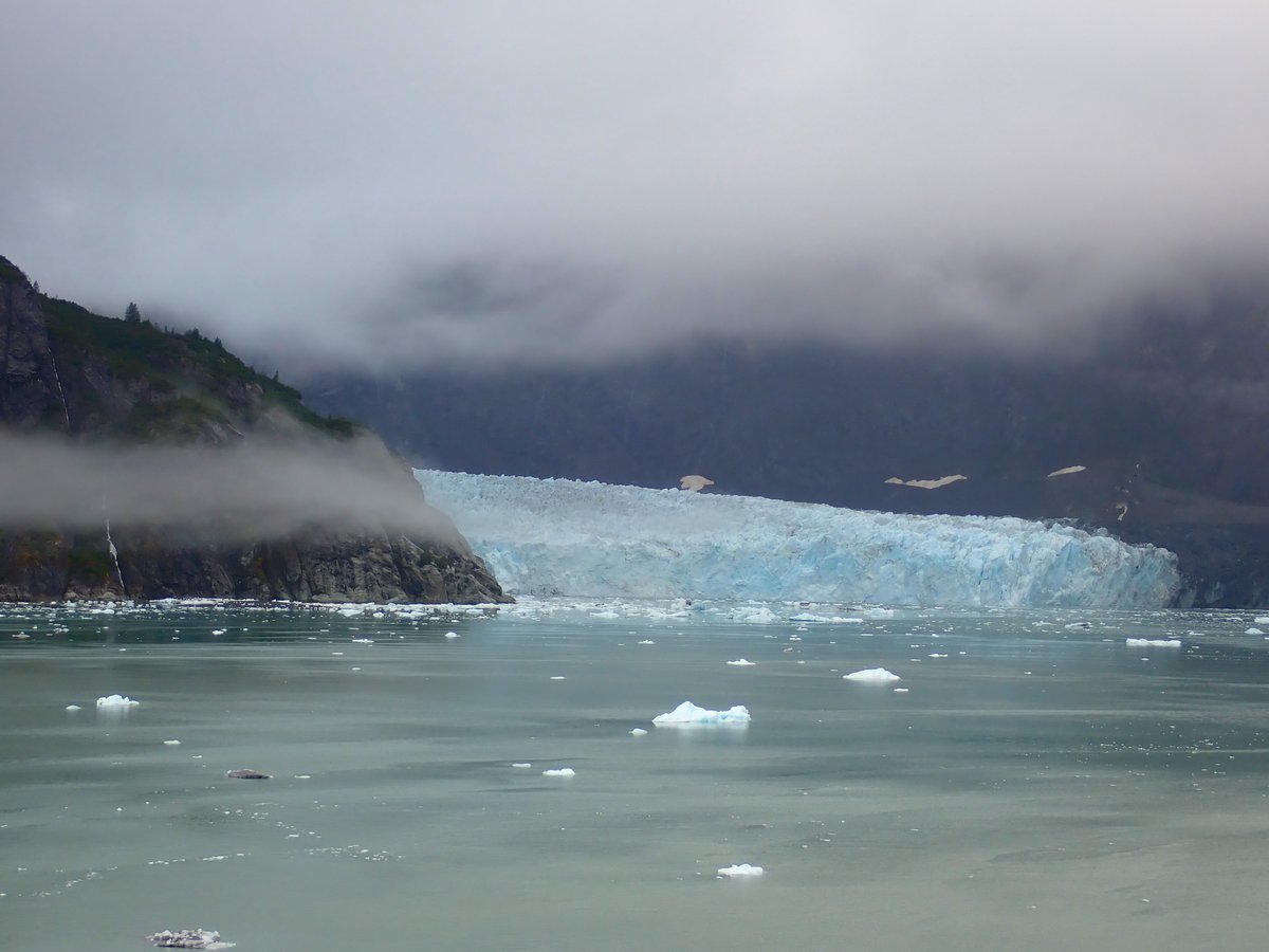 Ken Budd tweet media