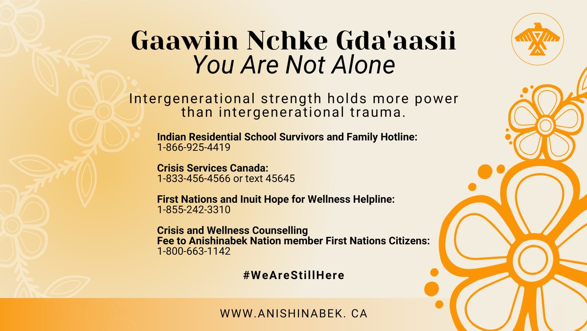 Gaawiin Nchke Gda'aasii
You Are Not Alone

Intergenerational strength holds more power than intergenerational trauma.

#WeAreStillHere