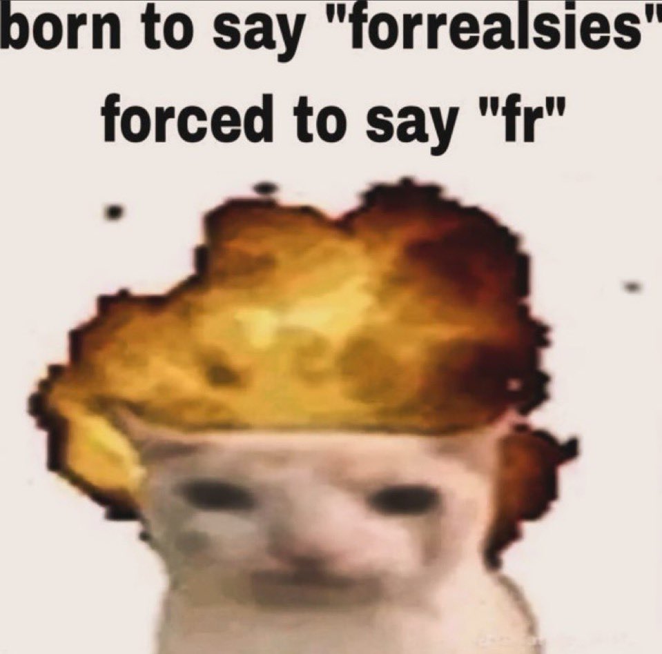 ju ᓚᘏᗢ tweet media