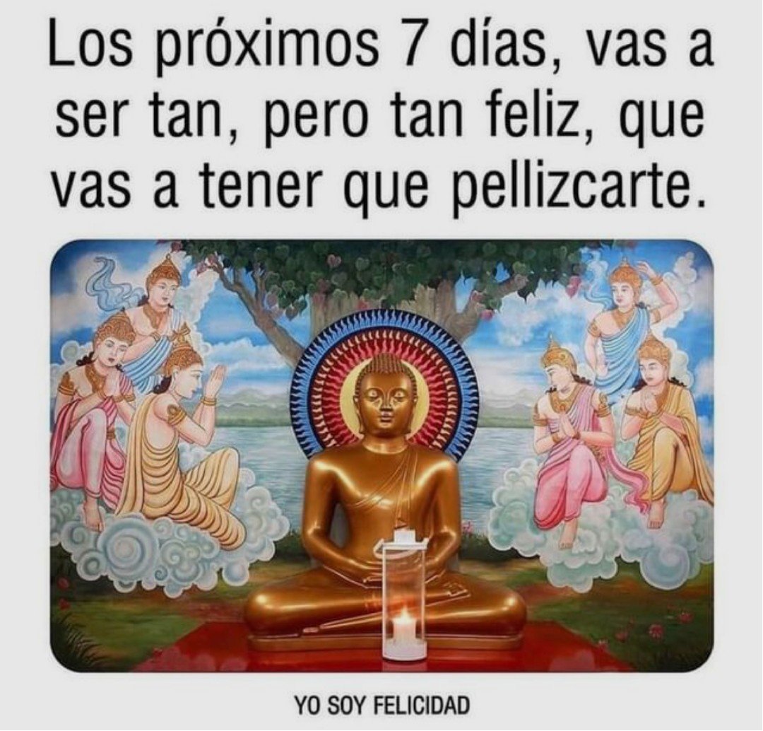 PIENSA POSITIVO tweet media