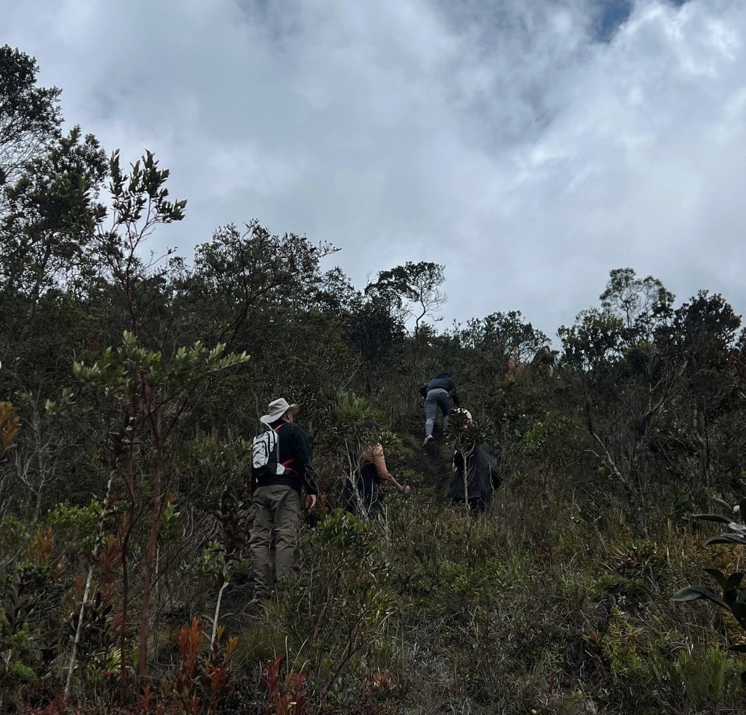 SPOT LLC tweet media