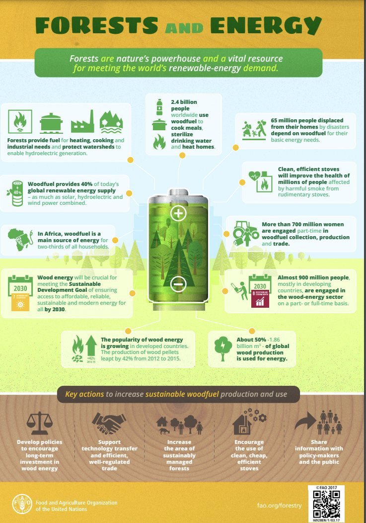 UNBiodiversity's tweet image. 🌳Forests are nature’s powerhouse and can be a sustainable resource for meeting the world’s energy demand 

 #ForNature #BiodiversityPlan

Via @FAOclimate | @FAO