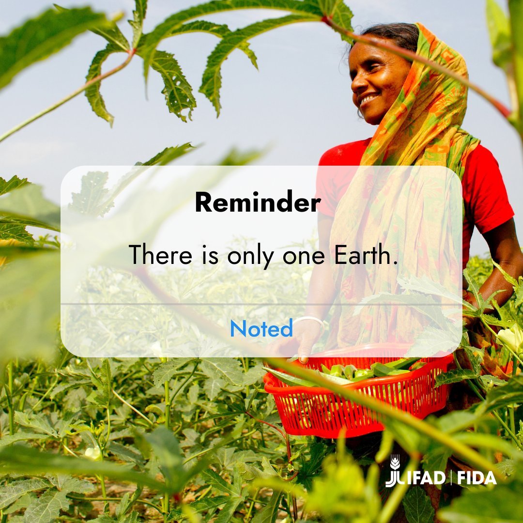 UNBiodiversity's tweet image. The future of our 🌏 is hanging by a thread, but it’s not too late to change course if we take bold #ClimateActions.

Via @IFAD