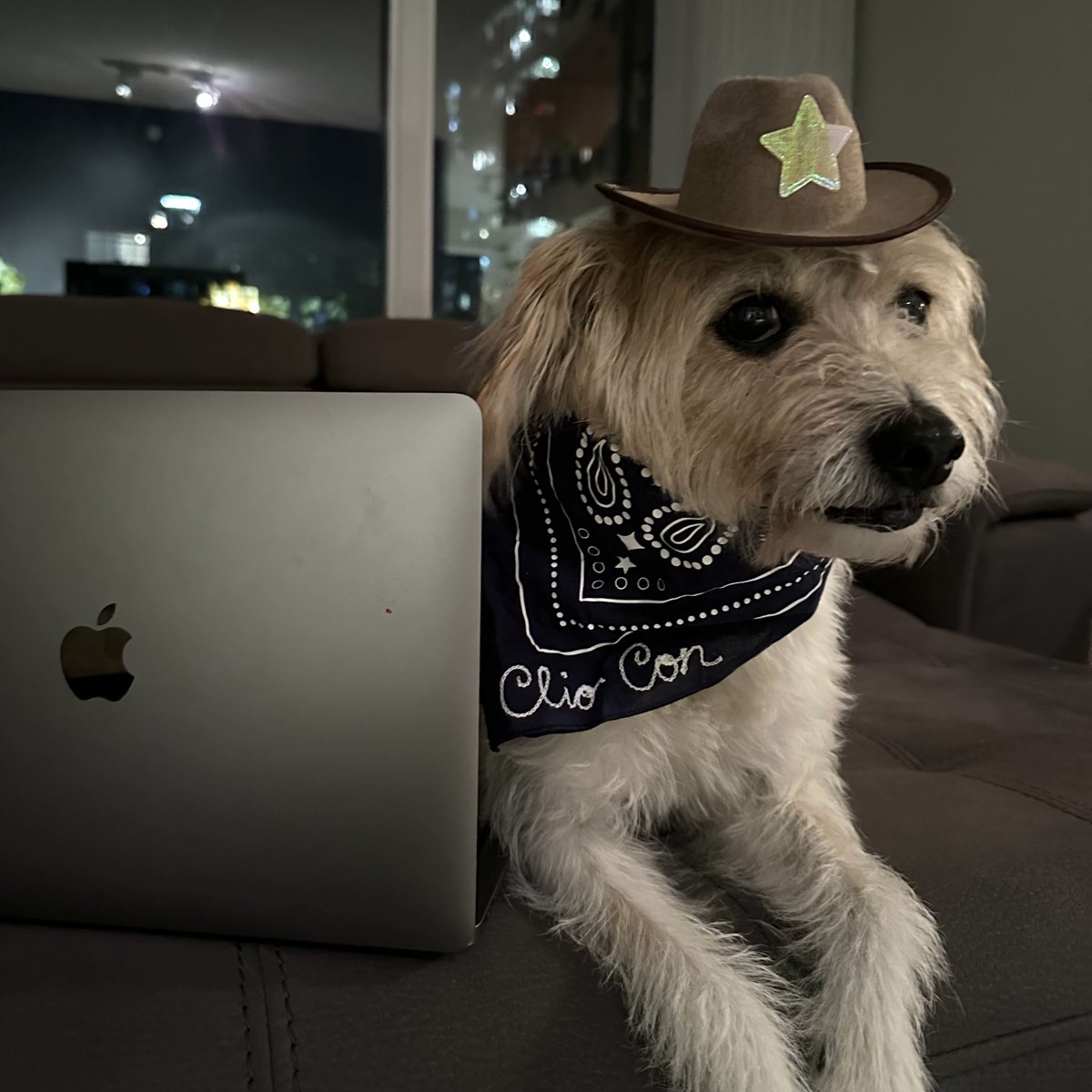 Take in #ClioCon from home, the office, or wherever you’re tuning in from. Cowboy hats are optional, but recommended. 🤠

Secure your virtual pass today ➡️ bit.ly/3KP3p1G