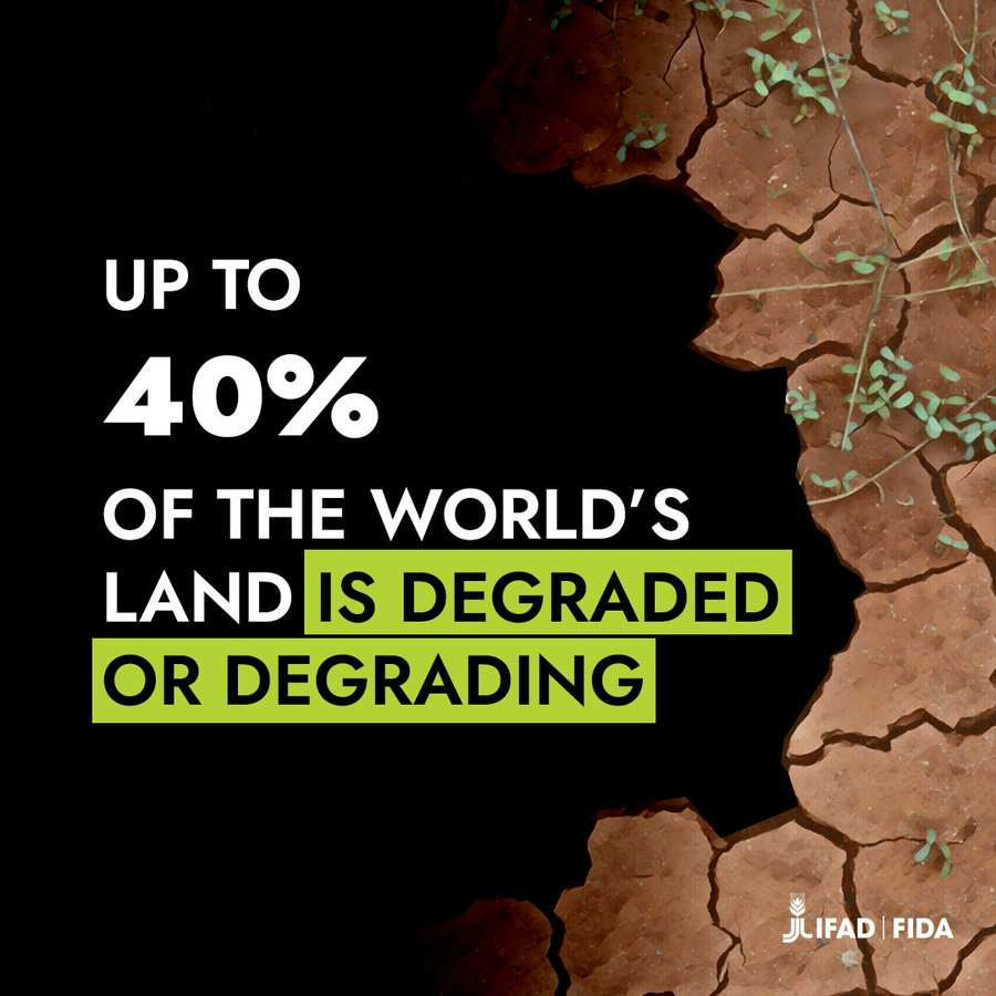 UNBiodiversity's tweet photo. Land #degradation is one of the biggest threats to the livelihoods and food security of smallholder farmers around the world.

#RestoreOurEarth

Via @IFAD https://t.co/V5d0OcpmQ4