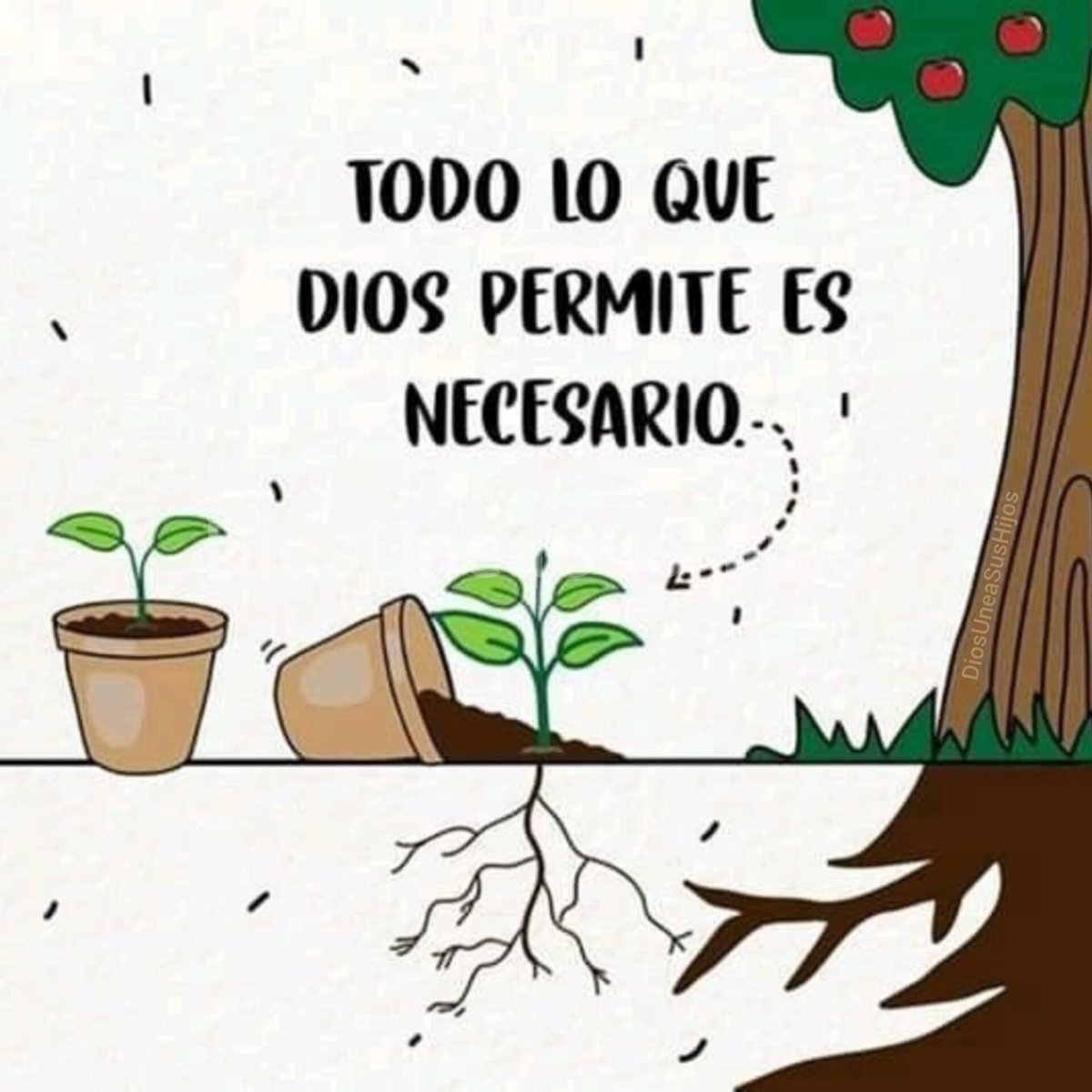 DiosUneSusHijos's tweet photo. https://t.co/kSfR2jGff7