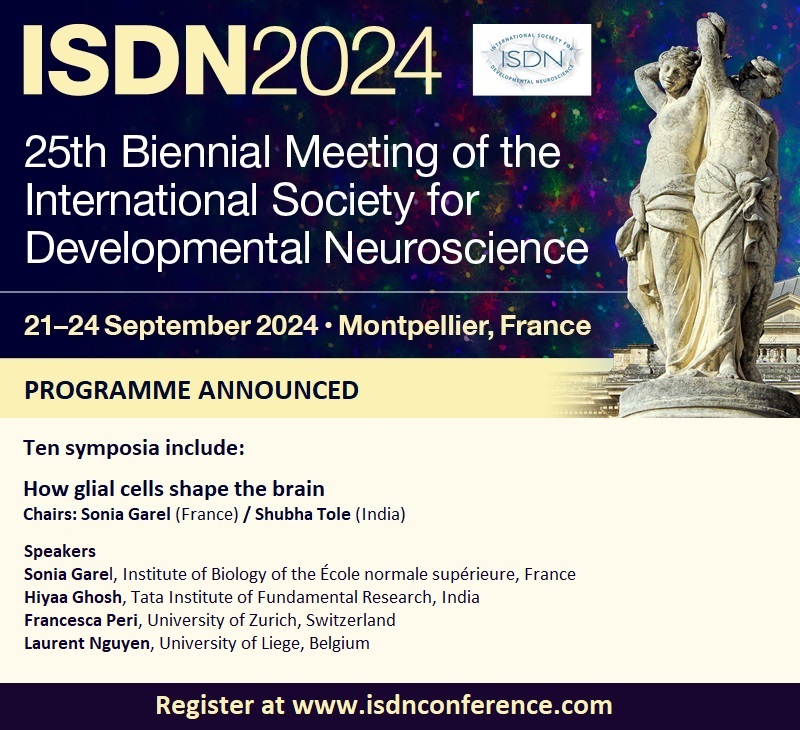 ISDN 2024 Conference (@isdnconference) on Twitter photo Don’t miss the #ISDN2024 Symposium: How #glialcells shape the brain.
👉Join speakers Sonia Garel, IBENS-ENS, Hiyaa Ghosh (<a href="/hiyaa_ghosh/">hiyaaghosh</a>) <a href="/NCBS_Bangalore/">National Centre for Biological Sciences</a>, <a href="/TIFRScience/">Tata Institute of Fundamental Research</a>, Francesca Peri <a href="/UZH_en/">University of Zurich</a> and Laurent Nguyen (<a href="/neuroliege/">Laurent Nguyen</a>) <a href="/UniversiteLiege/">Université de Liège</a>.
Register at bit.ly/ISDN2024 Don’t miss the #ISDN2024 Symposium: How #glialcells shape the brain.
👉Join speakers Sonia Garel, IBENS-ENS, Hiyaa Ghosh (<a href="/hiyaa_ghosh/">hiyaaghosh</a>) <a href="/NCBS_Bangalore/">National Centre for Biological Sciences</a>, <a href="/TIFRScience/">Tata Institute of Fundamental Research</a>, Francesca Peri <a href="/UZH_en/">University of Zurich</a> and Laurent Nguyen (<a href="/neuroliege/">Laurent Nguyen</a>) <a href="/UniversiteLiege/">Université de Liège</a>.
Register at bit.ly/ISDN2024