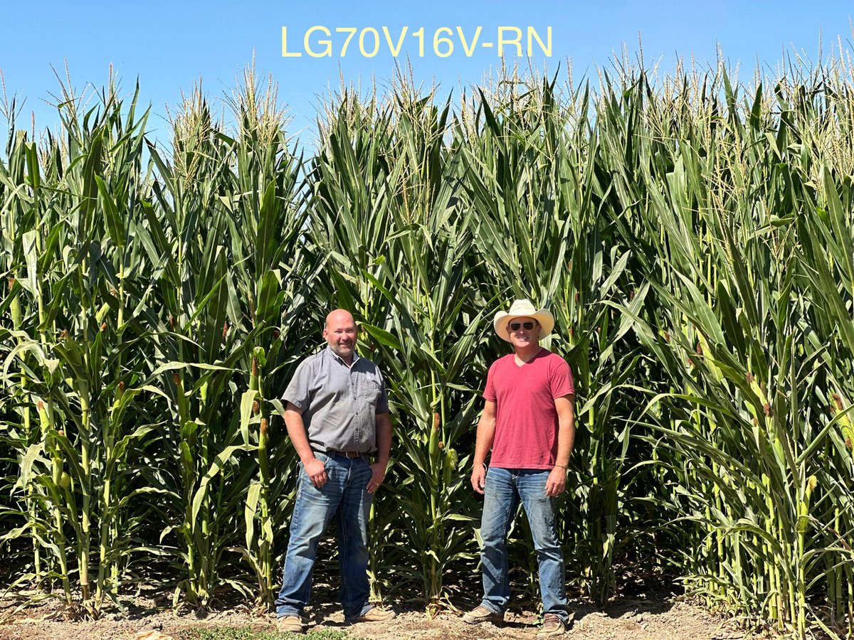 Teply_tweeter's tweet image. Great week out in the Central Valley of California looking through product with ⁦@davehoy⁩ Phil and Joe.  You always learn something when you are out there. Sometimes it’s about corn and sometimes it’s about one of the other 200+ crops growing out there.