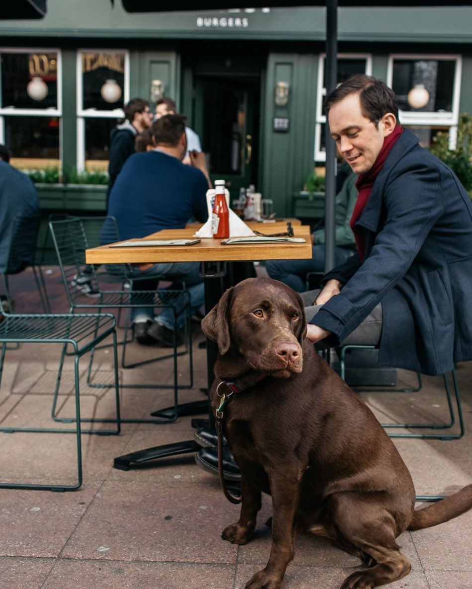 Here are some pictures of dogs at Honest to give you a boost of serotonin. 🐶 Check out our website to see our dog friendly restaurants 💚 
Honestburgers.co.uk/locations