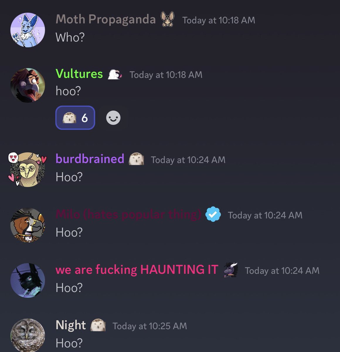 No Context Bird Empire (@birdemp_moment) on Twitter photo 